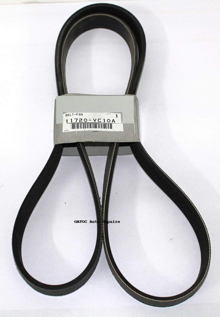 GENUINE NISSAN Fan belt to fit GU Patrol & Navara ZD30 (not CRD). ATOC Auto ATOC Auto